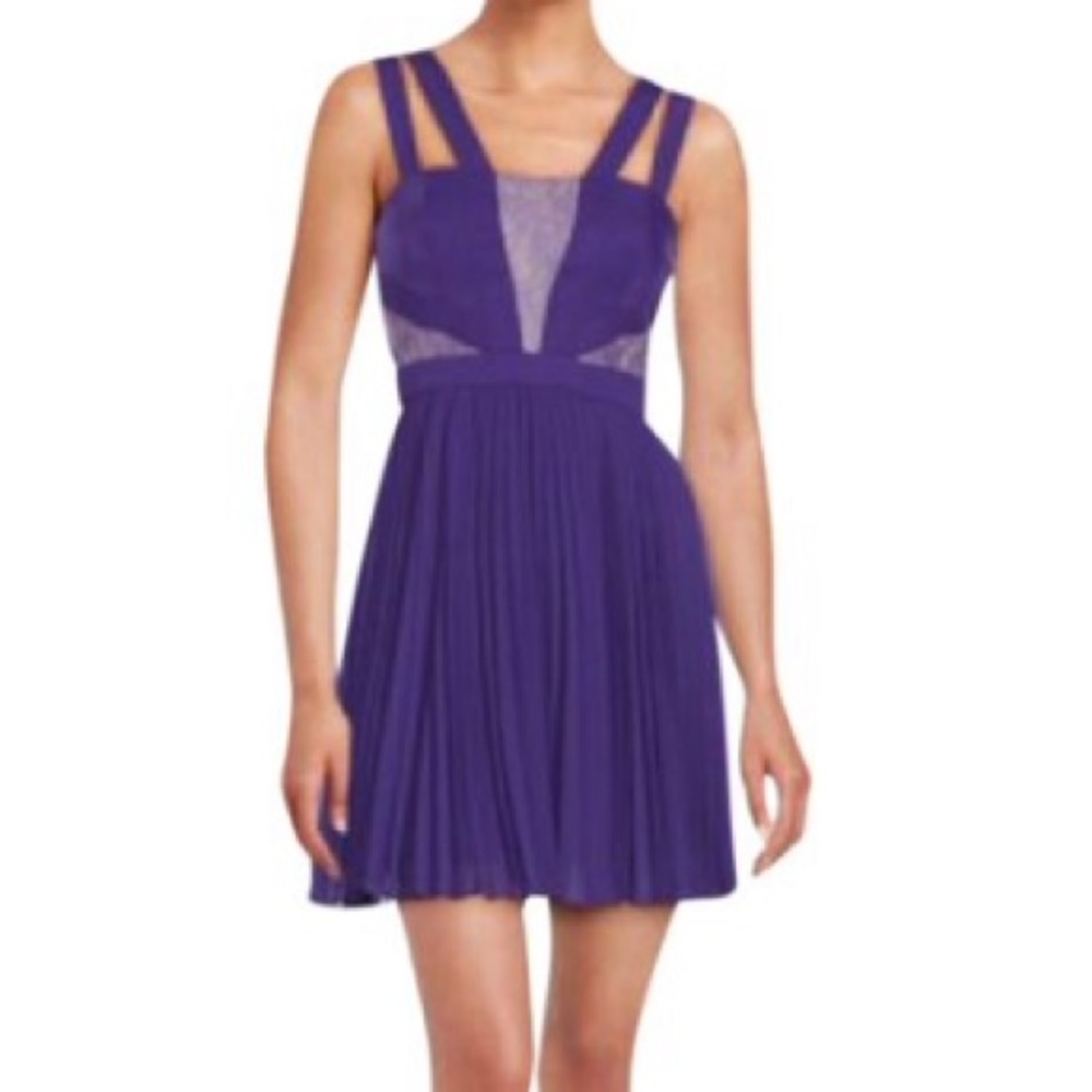 BCBG MaxAzria PlumBerry TENZIN Lace blocked pleated Dress Purple NWOT  0